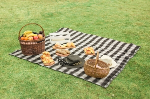 Activities on a Picnic Activities on a Picnic